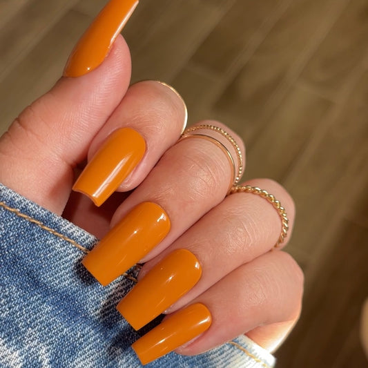 Pumpkin Pie