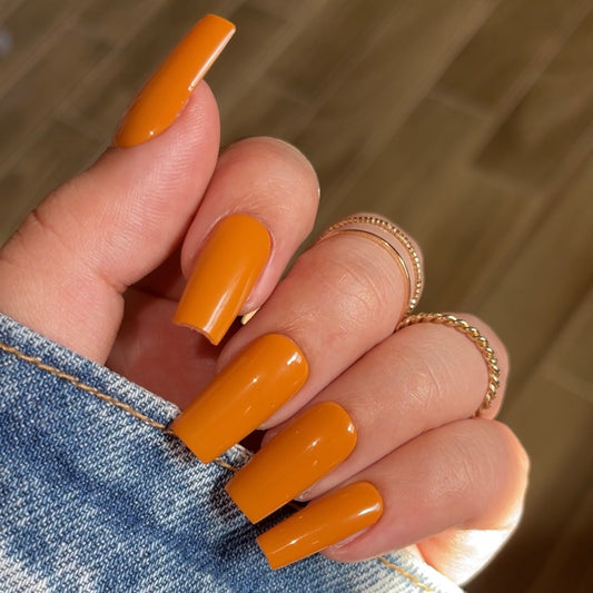 Pumpkin Pie